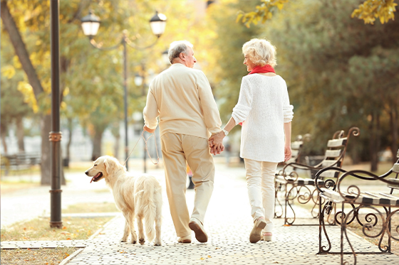 senior couple holding hands walking dog retirement income grady group fl